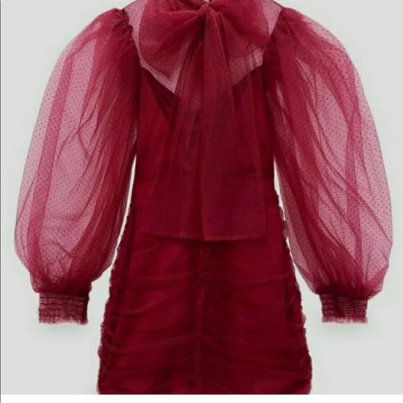 ZARA gorgeous hot pink mesh tulle HOLIDAY DRESS. - Picture 2 of 8